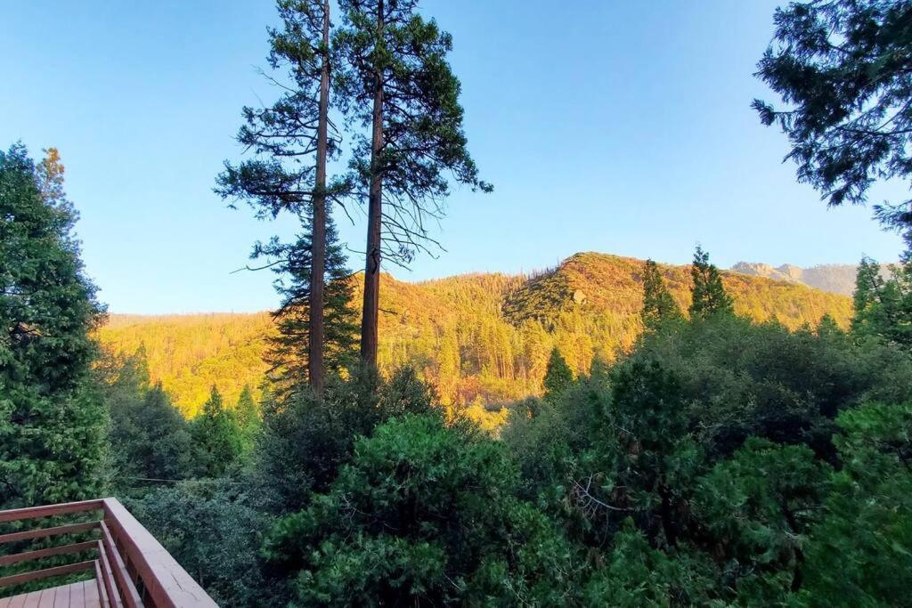 Redwood Retreat, Mountains, Adventure And Nature Ponderosa Екстериор снимка