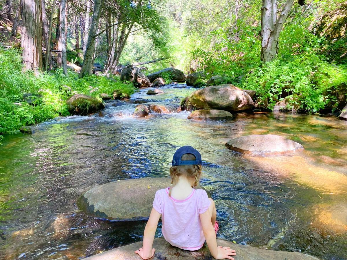 Redwood Retreat, Mountains, Adventure And Nature Ponderosa Екстериор снимка