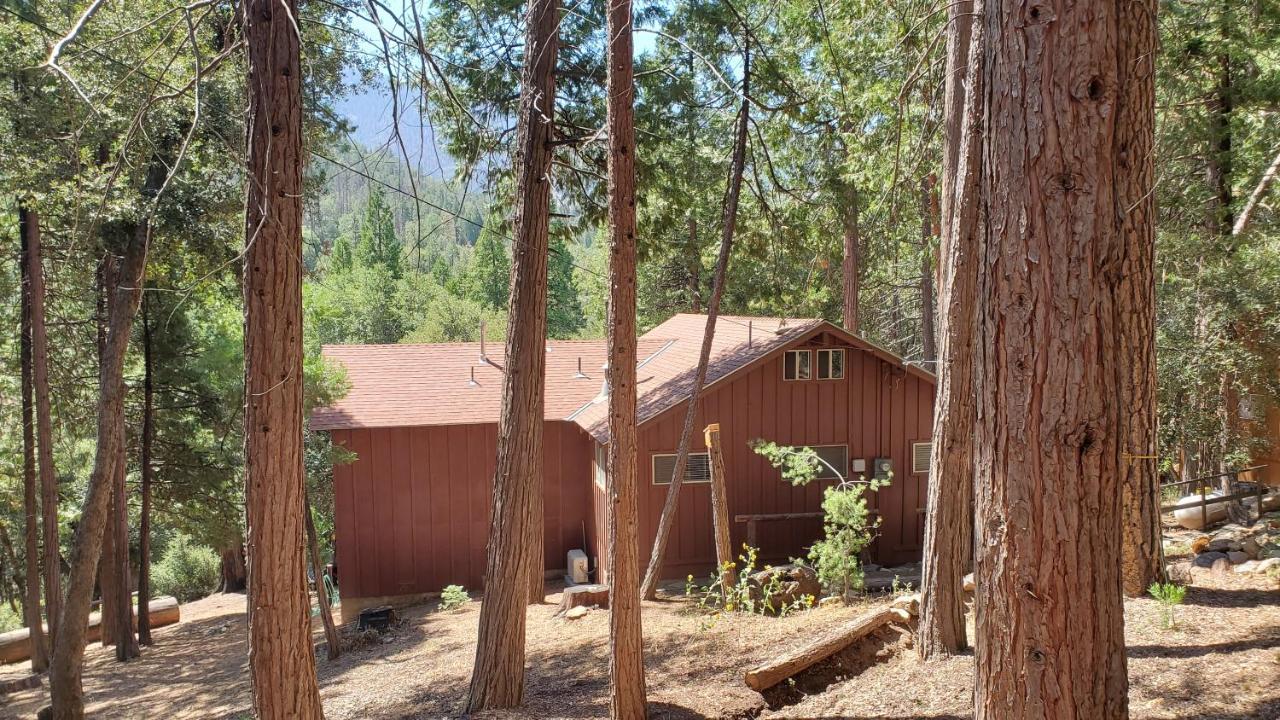 Redwood Retreat, Mountains, Adventure And Nature Ponderosa Екстериор снимка