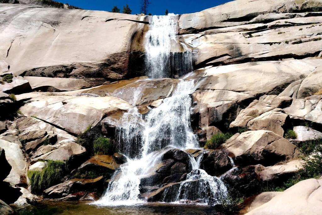 Redwood Retreat, Mountains, Adventure And Nature Ponderosa Екстериор снимка