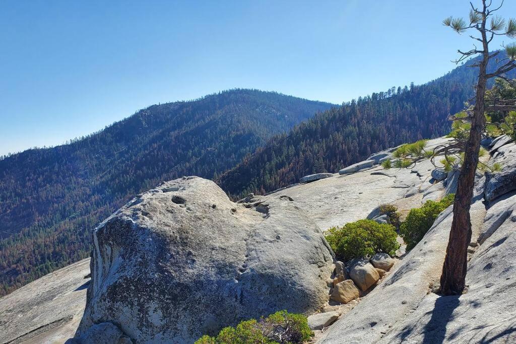 Redwood Retreat, Mountains, Adventure And Nature Ponderosa Екстериор снимка
