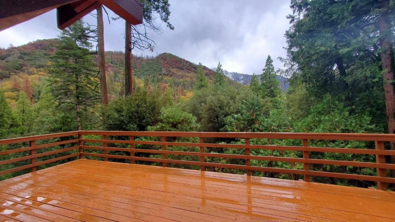 Redwood Retreat, Mountains, Adventure And Nature Ponderosa Екстериор снимка