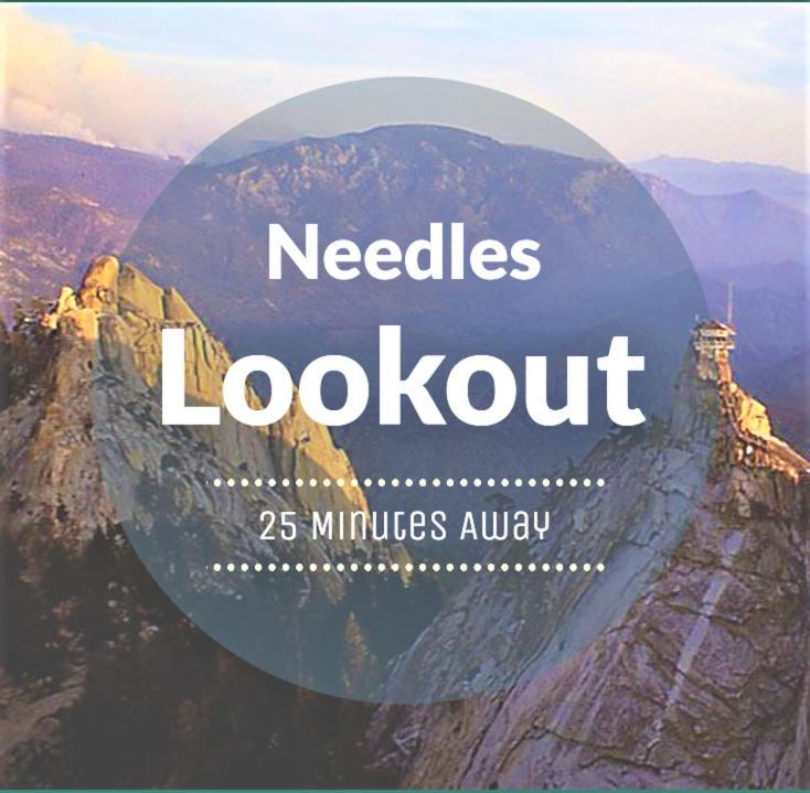 Redwood Retreat, Mountains, Adventure And Nature Ponderosa Екстериор снимка