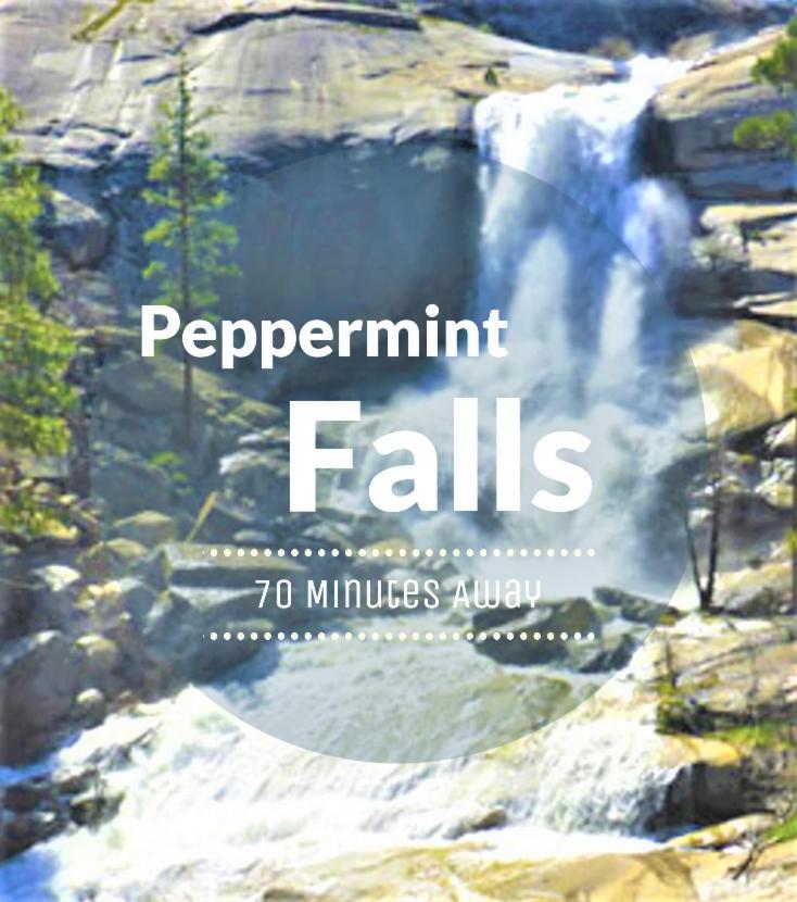 Redwood Retreat, Mountains, Adventure And Nature Ponderosa Екстериор снимка