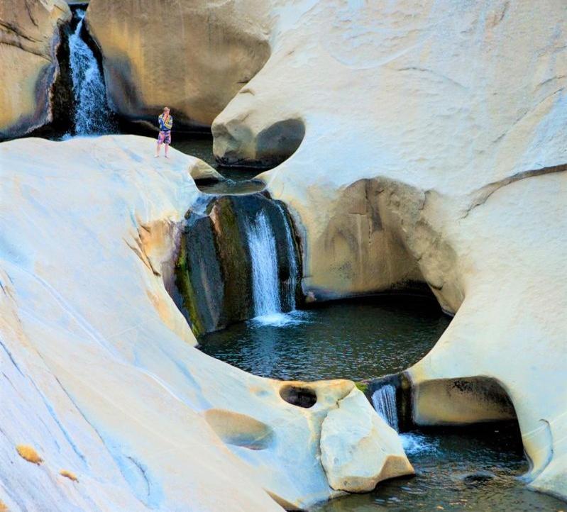 Redwood Retreat, Mountains, Adventure And Nature Ponderosa Екстериор снимка