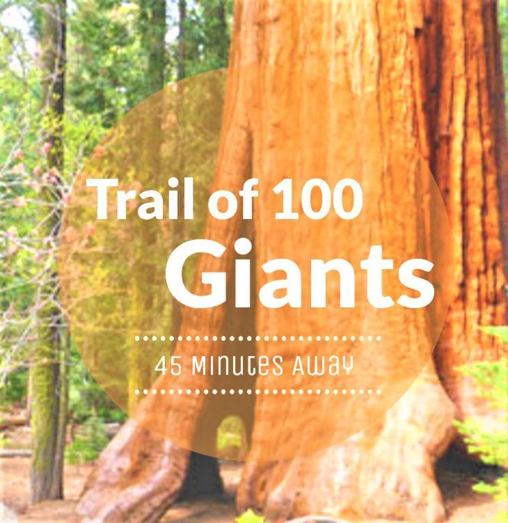 Redwood Retreat, Mountains, Adventure And Nature Ponderosa Екстериор снимка
