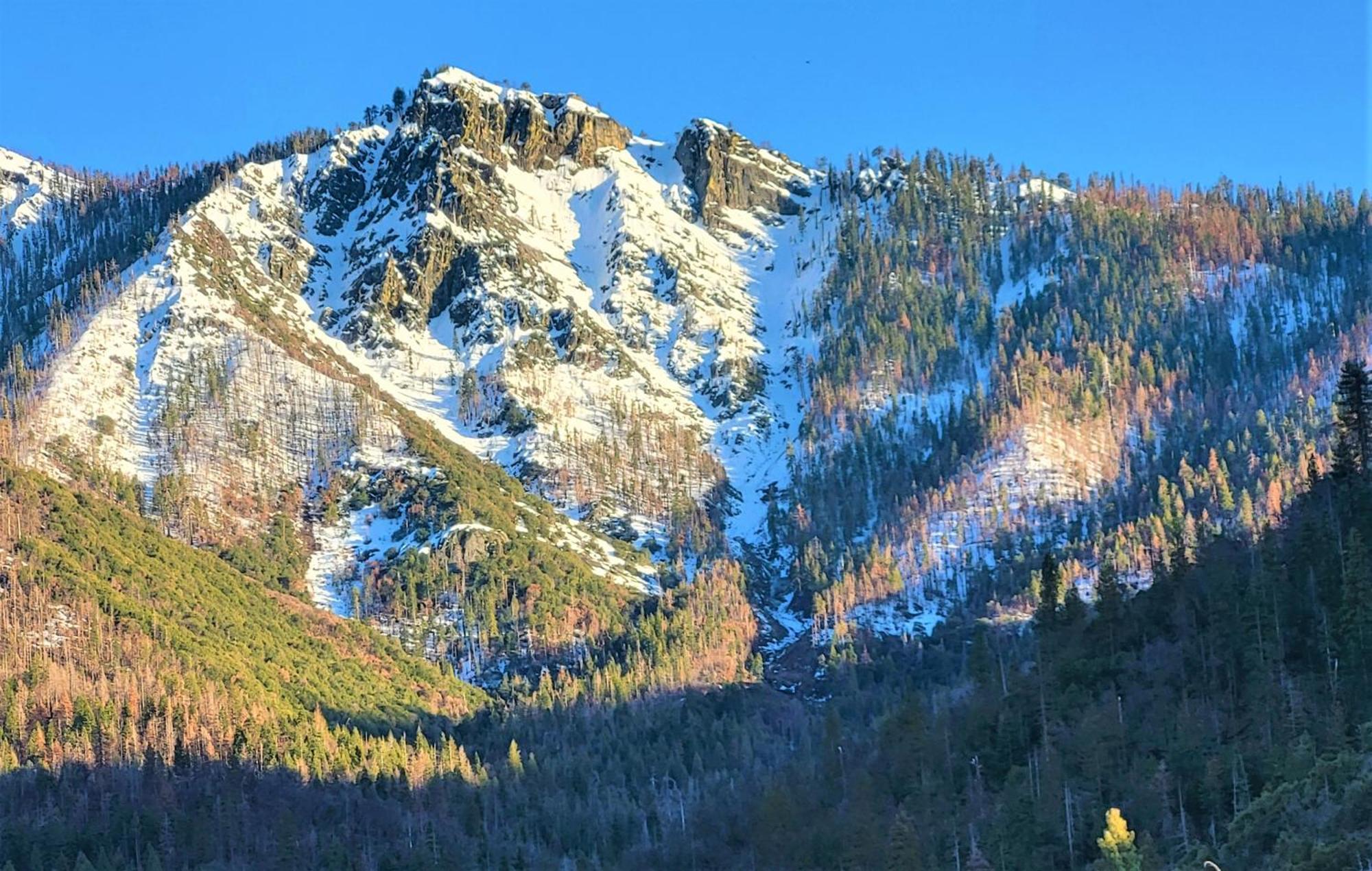 Redwood Retreat, Mountains, Adventure And Nature Ponderosa Екстериор снимка